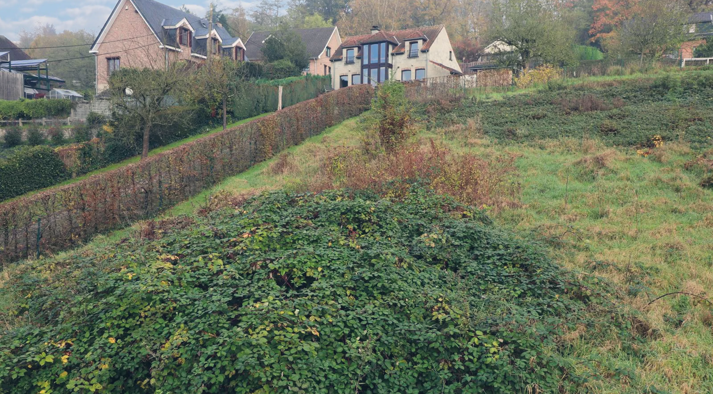 Bouwgrond (projecten) te koop in Overijse