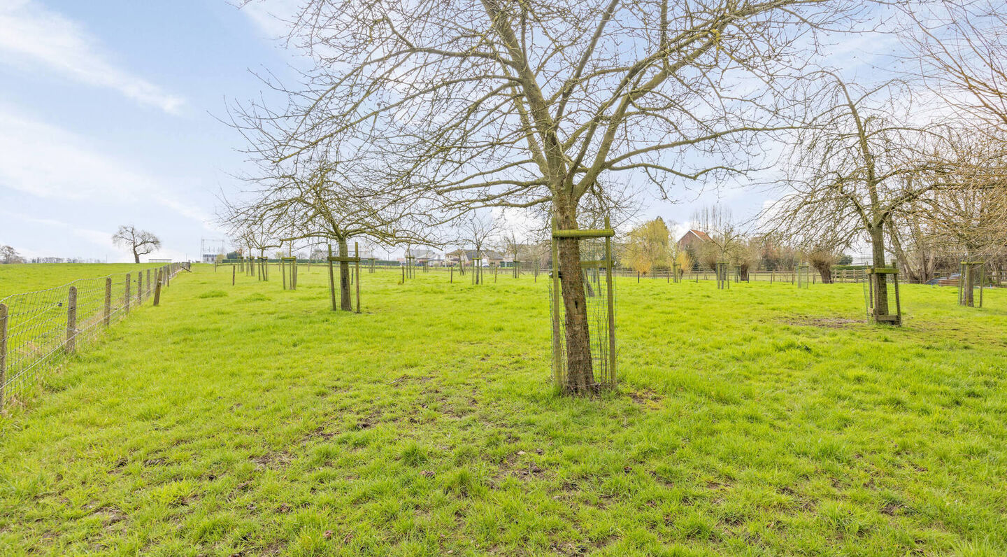 Villa à vendre à Asse Relegem