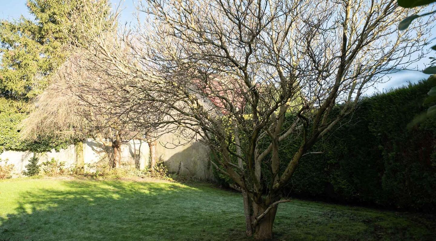 Villa à vendre à Tervuren